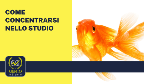 come concentrarsi nello studio